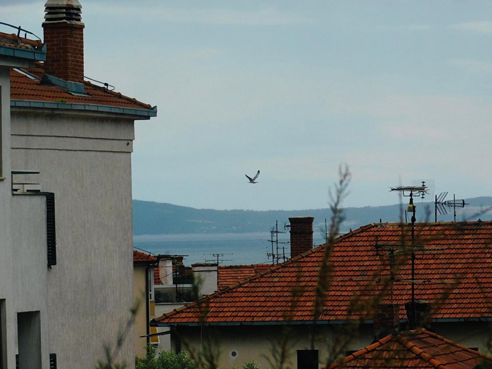 Apartmán Lux Lariva, Center Of